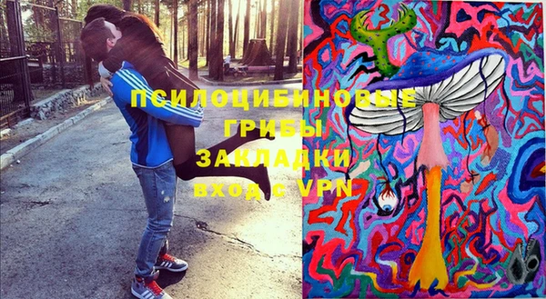 тгк Бородино