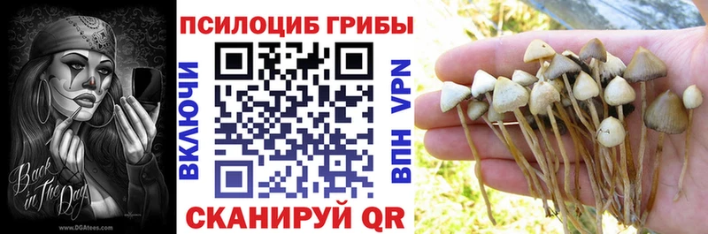 Галлюциногенные грибы ЛСД  дарк нет формула  Минеральные Воды 
